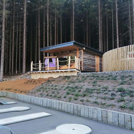 Erzgebirgsidyll Breitenbrunn (Saxony) Exterior foto