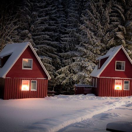 Erzgebirgsidyll Breitenbrunn (Saxony) Exterior foto
