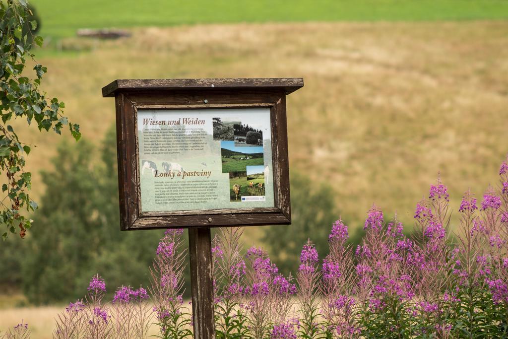 Erzgebirgsidyll Breitenbrunn (Saxony) Exterior foto