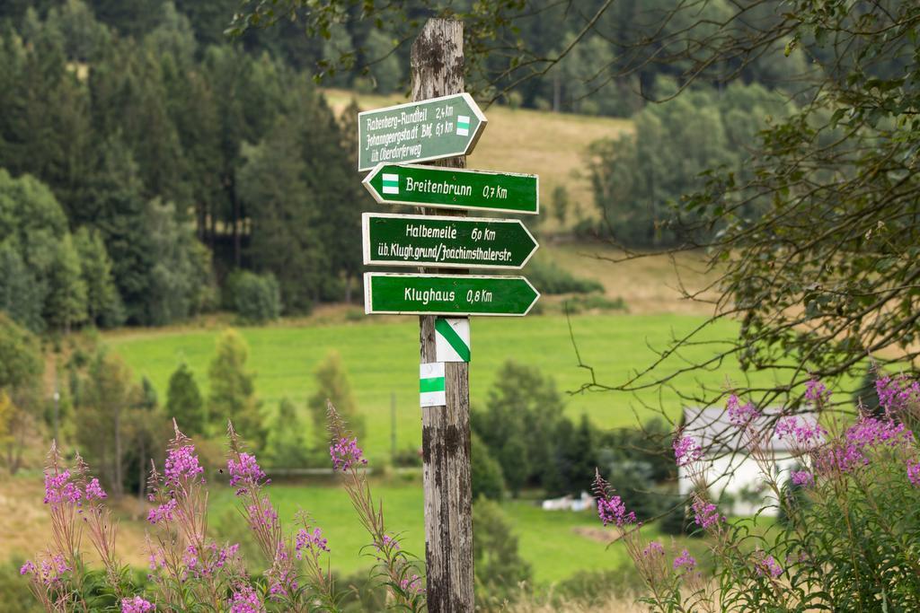 Erzgebirgsidyll Breitenbrunn (Saxony) Exterior foto