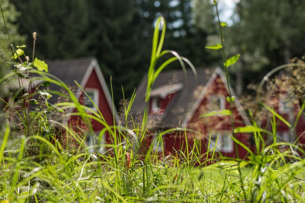 Erzgebirgsidyll Breitenbrunn (Saxony) Exterior foto
