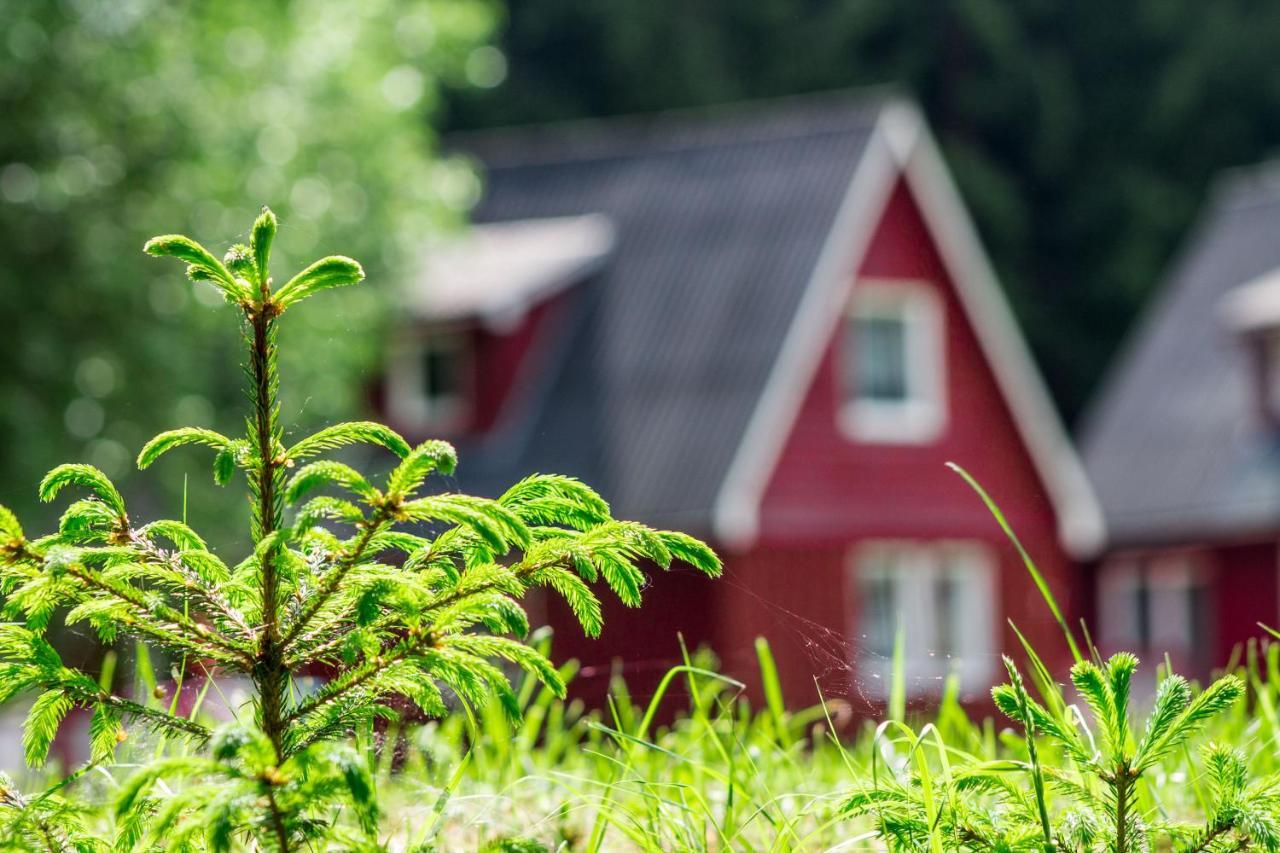 Erzgebirgsidyll Breitenbrunn (Saxony) Exterior foto