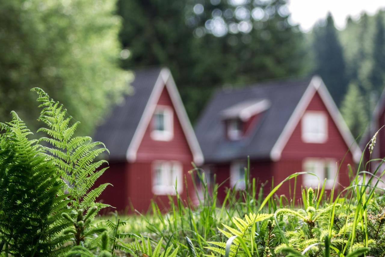 Erzgebirgsidyll Breitenbrunn (Saxony) Exterior foto