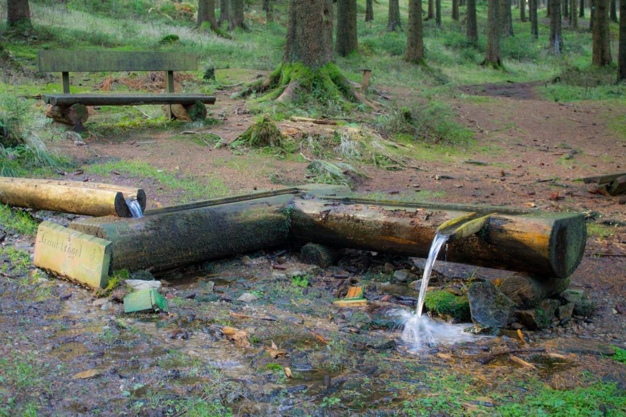 Erzgebirgsidyll Breitenbrunn (Saxony) Exterior foto