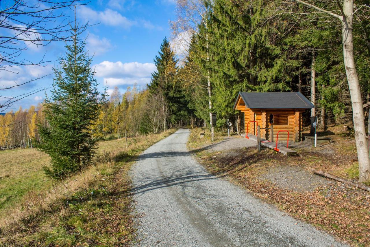Erzgebirgsidyll Breitenbrunn (Saxony) Exterior foto