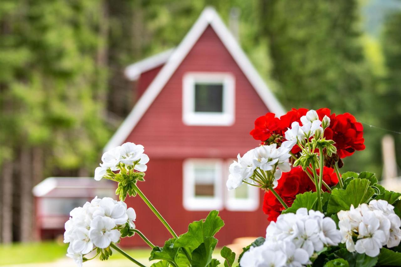 Erzgebirgsidyll Breitenbrunn (Saxony) Exterior foto